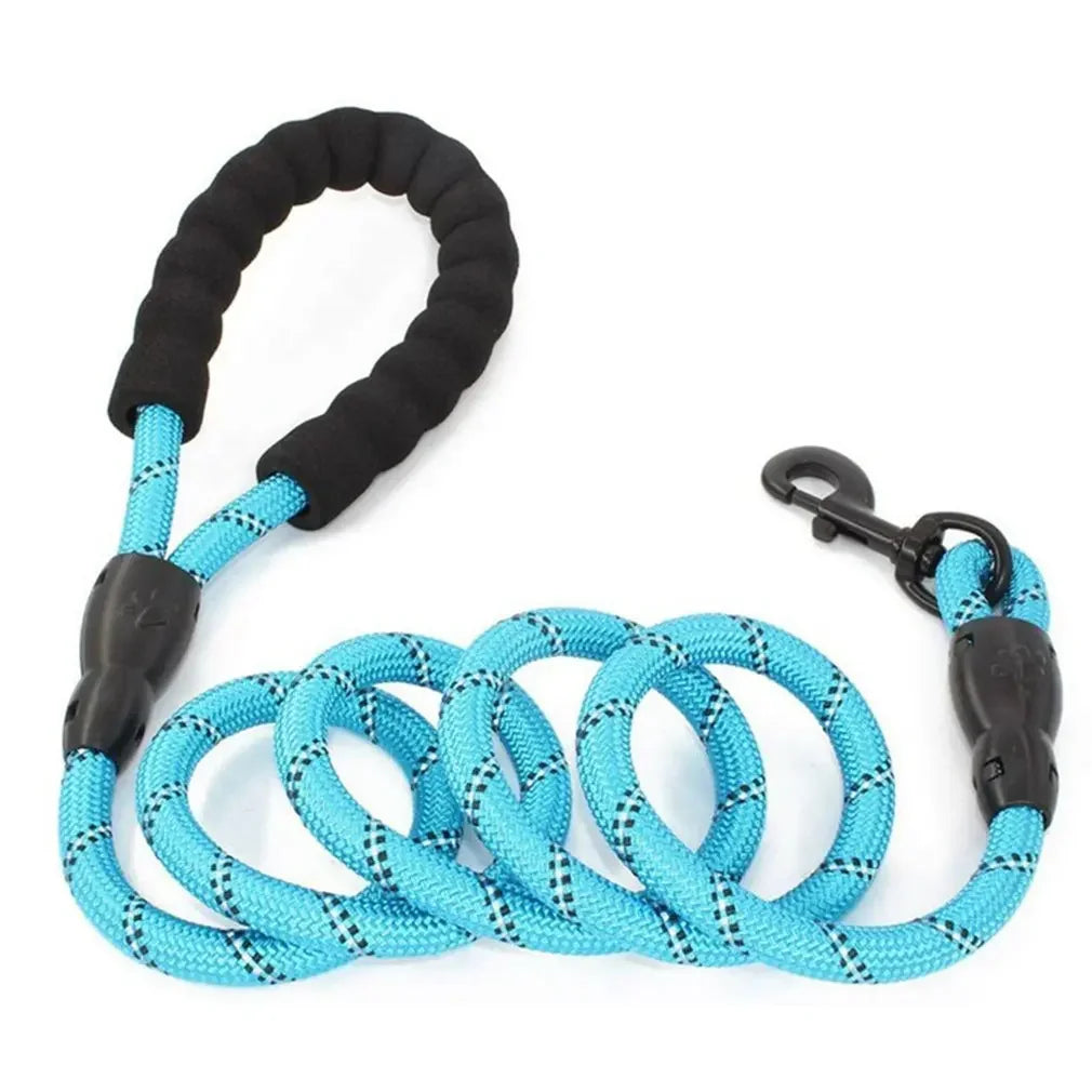 Nylon Dog Leash